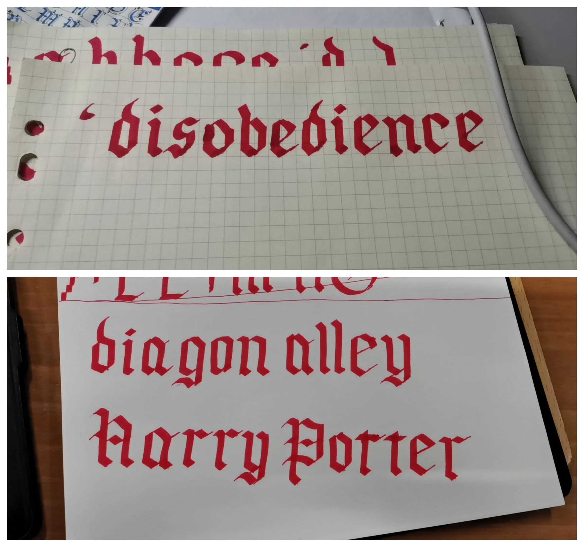 The words disobedience, Diagon Alley and Harry Potter written in red blackletter